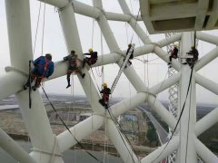 �F�������Y������Ϳ�b���g�F��lչڅ��